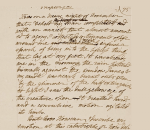 Mary Shelly Handwritten Notes for the Novel